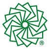 ddusa paper star
